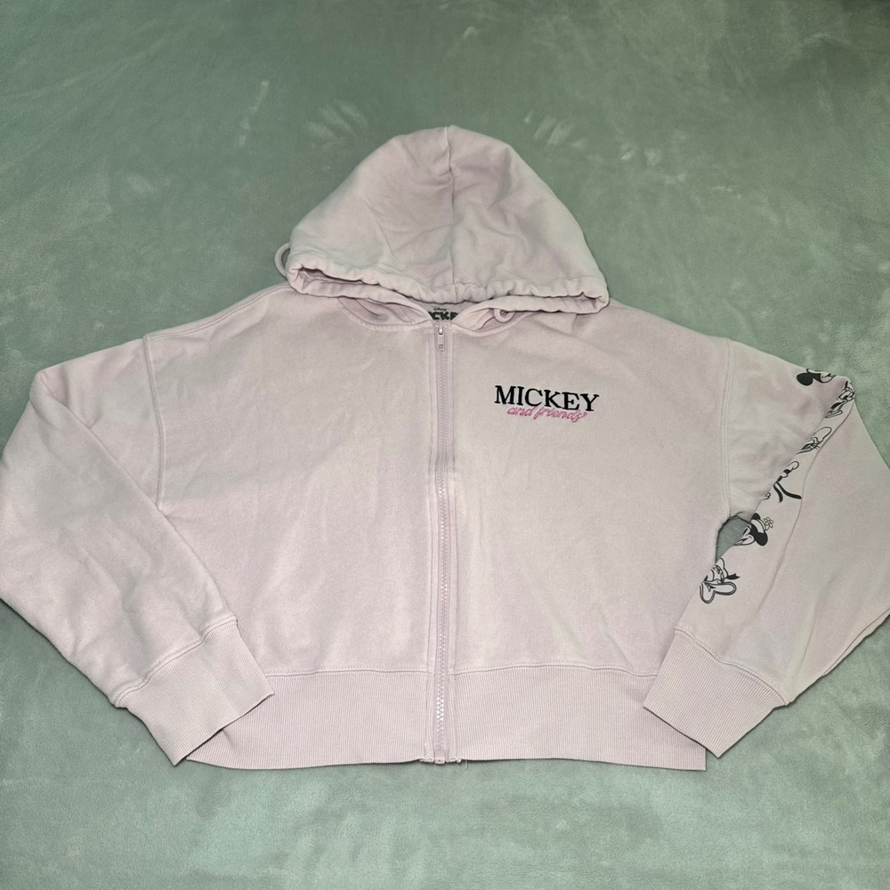 Disney Mickey and Friends Girl's Pink Crop Zip Up Hoodie Character Graphic Large